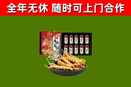 阿尔山回收冬虫夏草价格